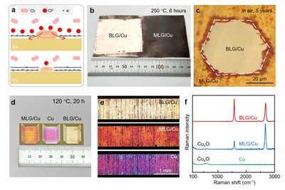 雙面各異 銅上雙層石墨烯的非對稱摻雜機(jī)制研究揭示