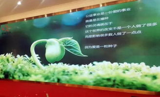 以刀為筆，以玉載道 福建省寶協玉石雕刻專業委員會藝術公益之路